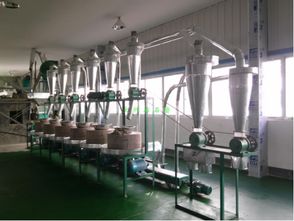 全自動(dòng)石磨面粉機(jī)組6連型 健康生活新選擇